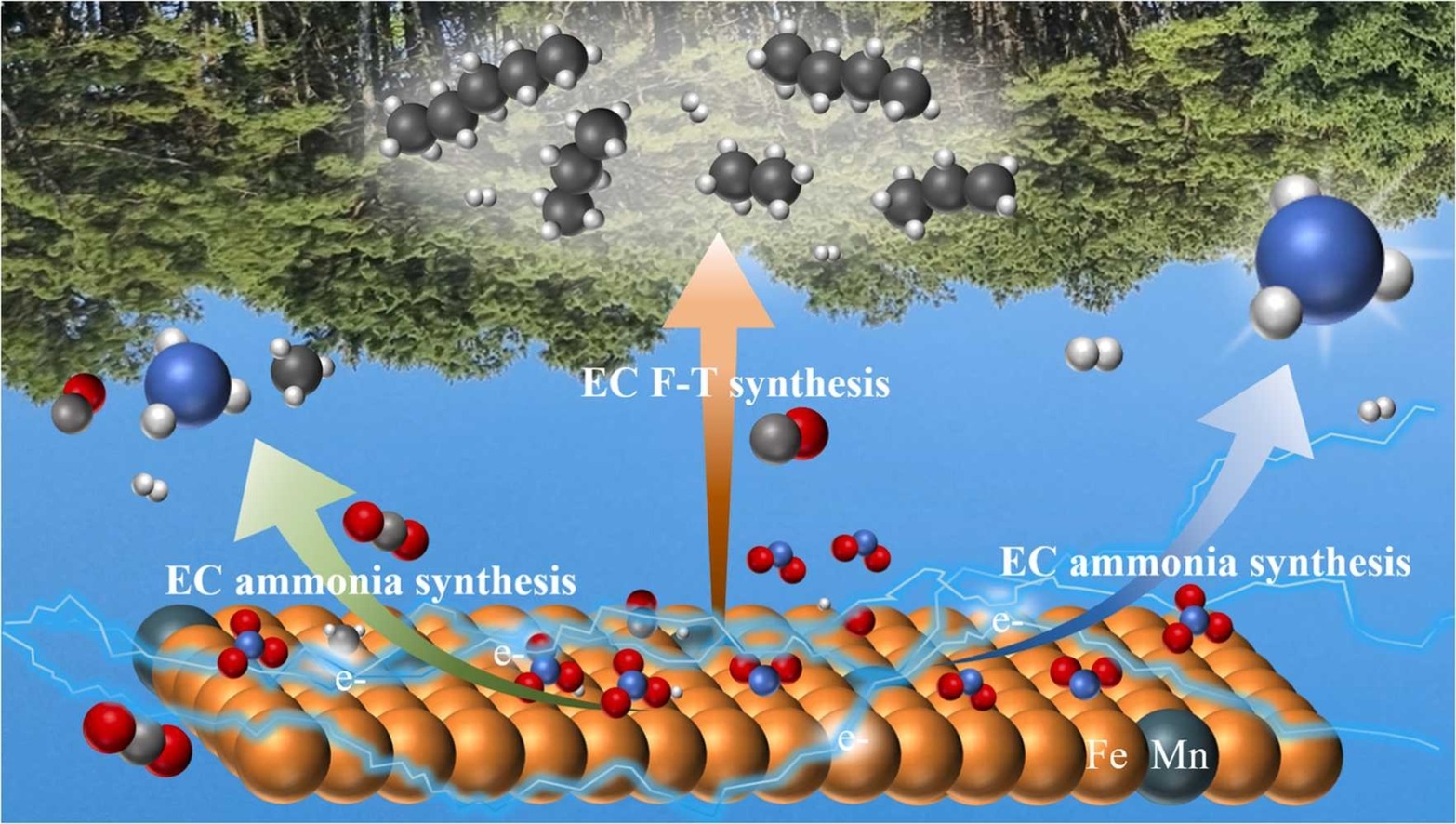 Electrochemical Ammonia Synthesis